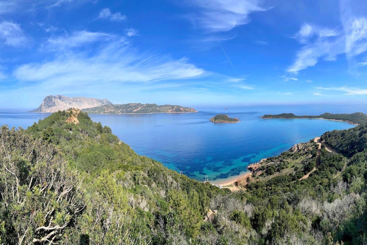 Apartamento San Teodoro Punta Est Curatissimo Bilocale Capo Coda Cavallo Exterior foto