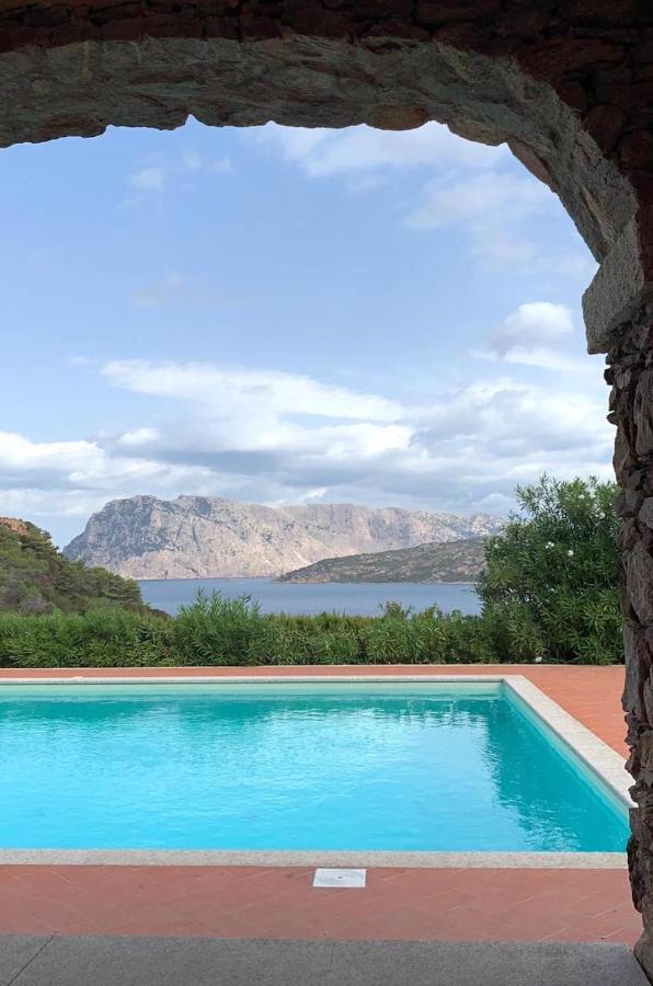 Apartamento San Teodoro Punta Est Curatissimo Bilocale Capo Coda Cavallo Exterior foto