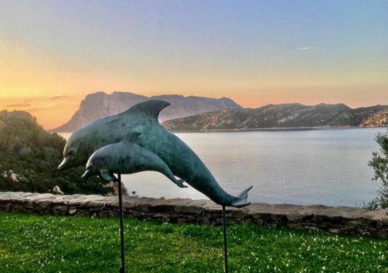 Apartamento San Teodoro Punta Est Curatissimo Bilocale Capo Coda Cavallo Exterior foto
