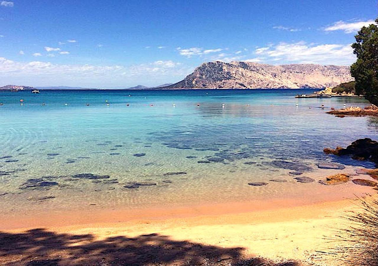 Apartamento San Teodoro Punta Est Curatissimo Bilocale Capo Coda Cavallo Exterior foto