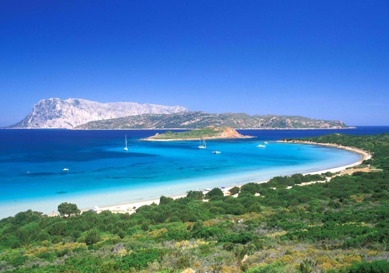 Apartamento San Teodoro Punta Est Curatissimo Bilocale Capo Coda Cavallo Exterior foto